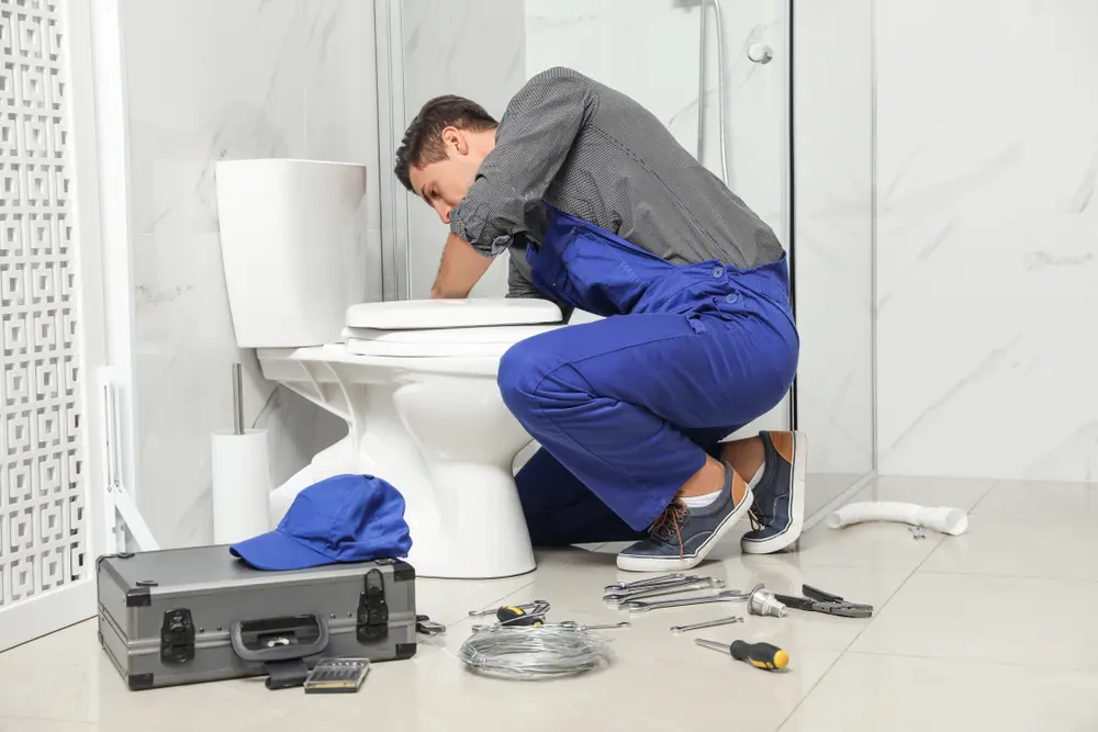 Toilet Repair in Bothell